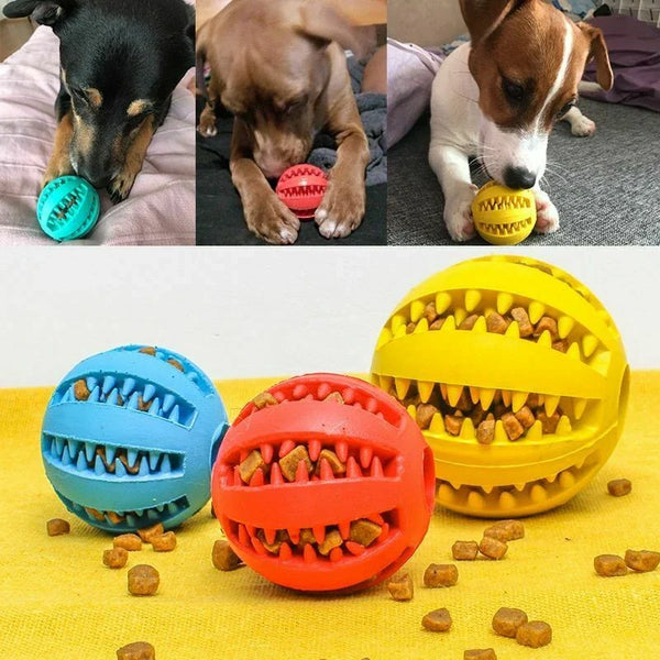 Interaktiver Gummiball für Haustiere