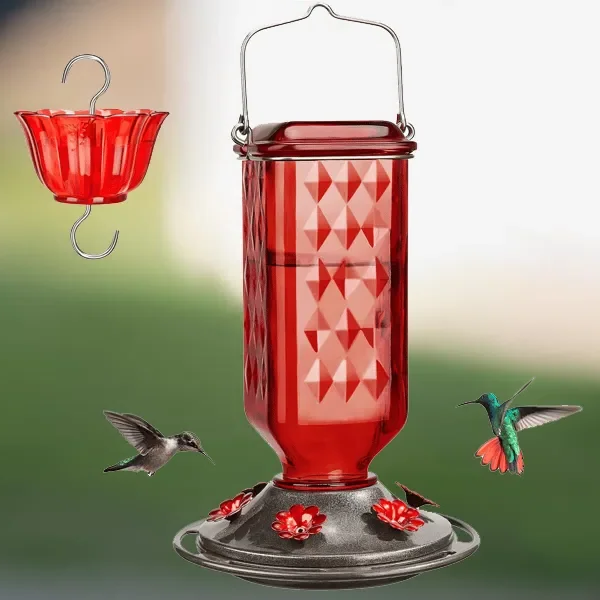 24oz Auslaufsicherer Kolibri-Futterspender aus Glas