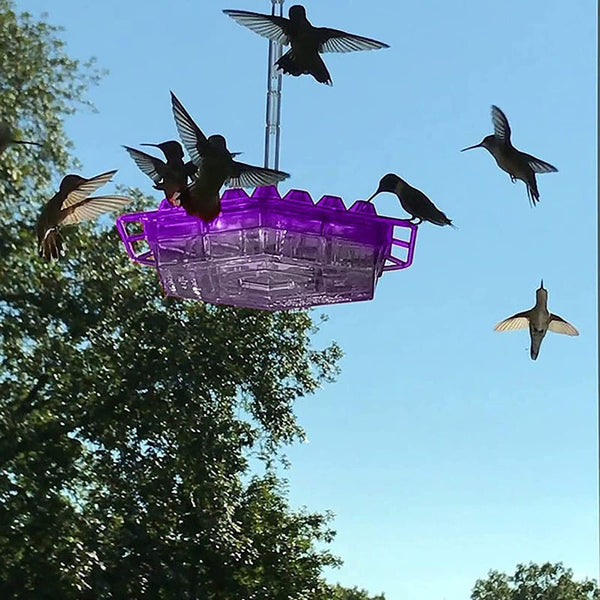 Ameisensicherer Kolibri-Futterspender zum Aufhängen für den Außenbereich mit Sitzstange