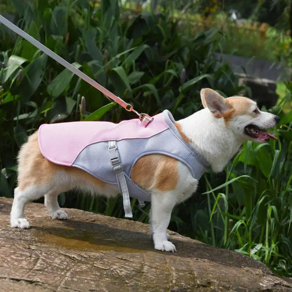 Kühlweste für Hunde für Outdoor-Aktivitäten
