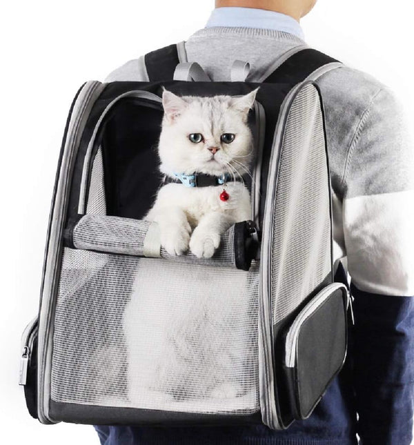 Katzen-Rucksack-Tragetasche