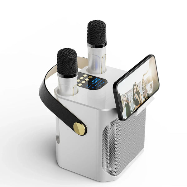 Leistungsstarker tragbarer 360°-Bluetooth-Karaoke-Lautsprecher