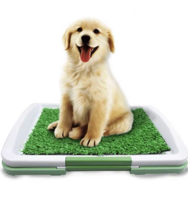 Hundetoilette mit Kunstrasen für den Innenbereich