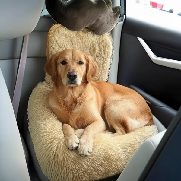 Schützendes Hundebett für das Auto