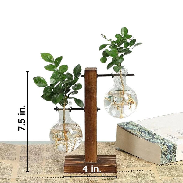 Hydroponische Pflanzenvase mit Holzrahmen
