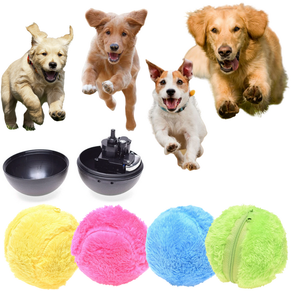 Aktiver rollender Ball für Haustiere (4 Farben enthalten)