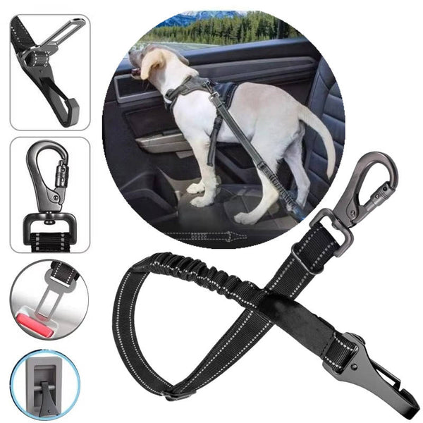 Sicherheitsgurt für Hunde im Auto