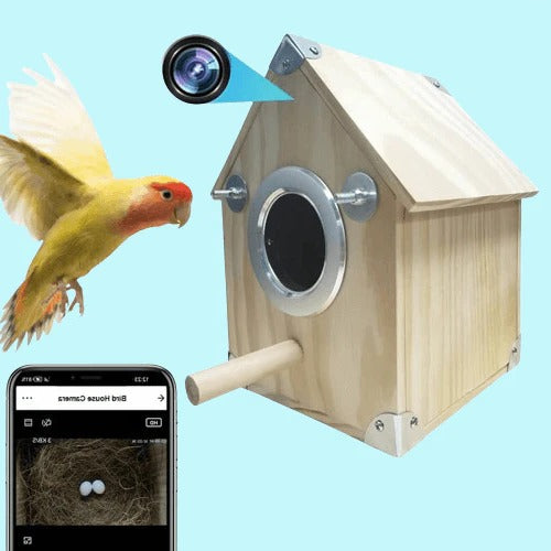 Vogelbeobachtungs-Nistkasten mit integrierter Kamera