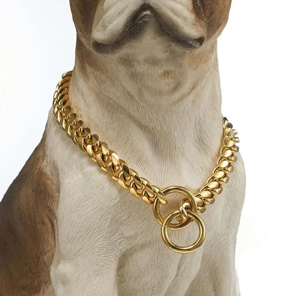 Strapazierfähiges Hundehalsband für große Hunde