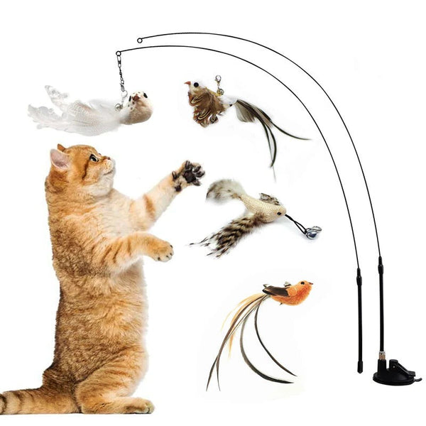 Vogel-Simulationsspielzeug-Set für Katzen