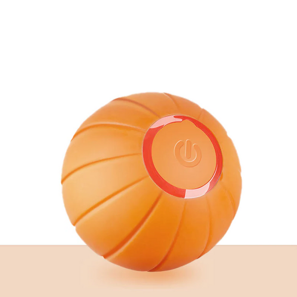 Haustierball (Sonderausgabe)