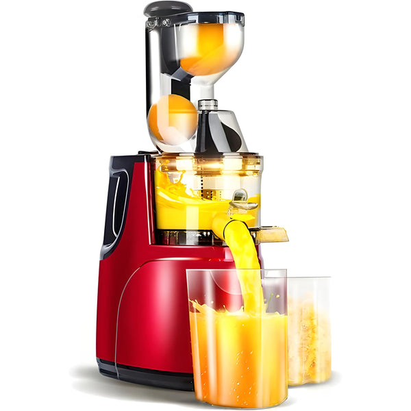 Automatischer Entsafter für Obst und Gemüse mit Tresterbehälter