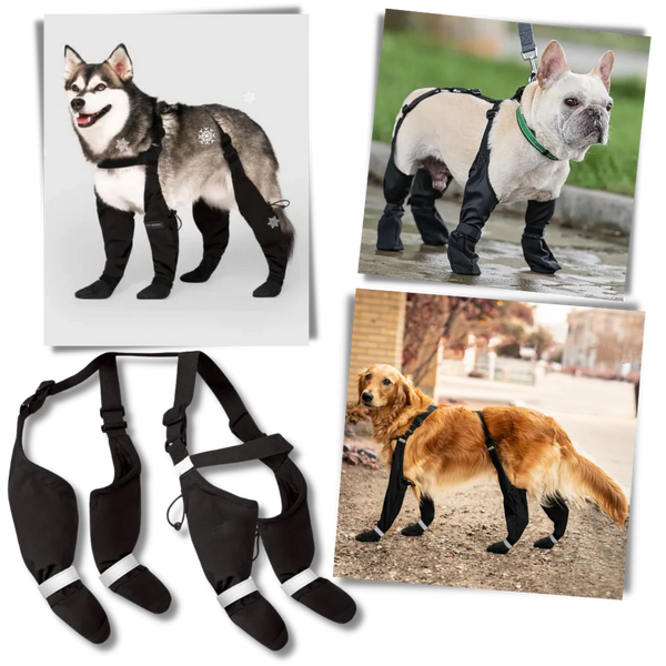 Wasserdichte Hundestiefel mit Trägern