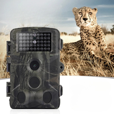 Fortgeschrittene Nachtsicht-Wildkamera
