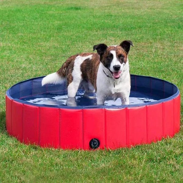 Zusammenklappbarer Hundepool für den Garten