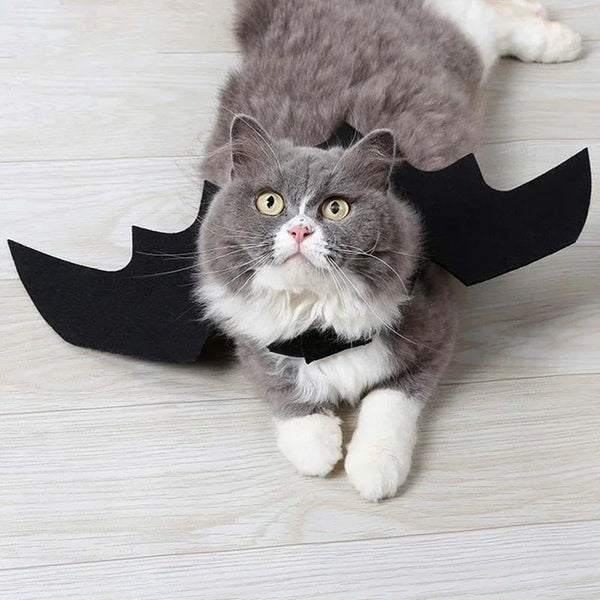 Fledermausflügel Halloween-Kostüm für Haustiere