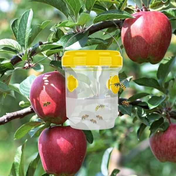 Effektive Fruchtfliegenfallen für den Innenbereich