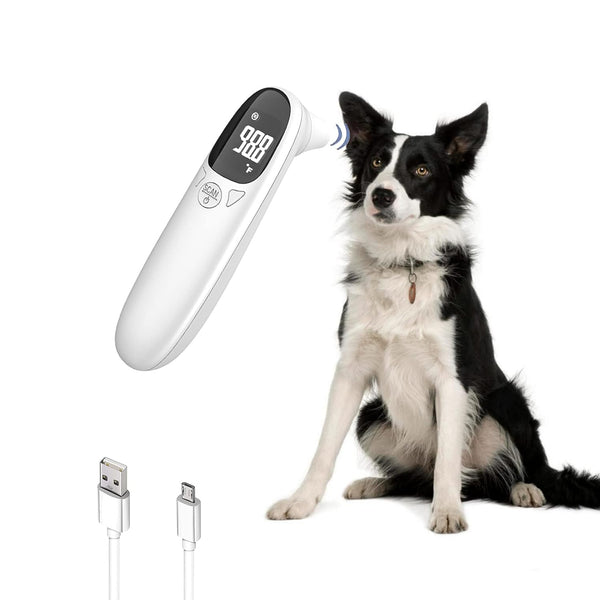 Digitales Thermometer für Haustiere