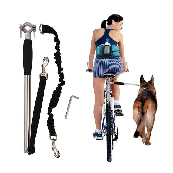 Hundegeschirr für Fahrradtouren