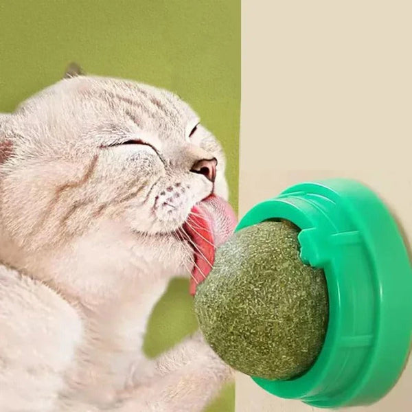 4-teiliges Premium Katzenminze-Ball Set