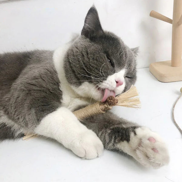 Natürliches Silberwein-Kauspielzeug für Katzen