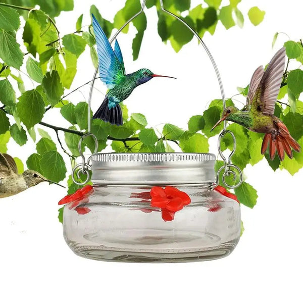 Transparenter Blumen-Hummingbird-Futterspender