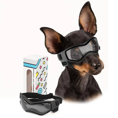 Schutzbrille für Hunde