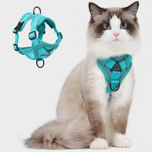 Reflektierendes Katzengeschirr mit Leine Set