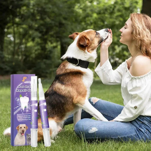Natürliche Zahnpasta für Hunde und Katzen