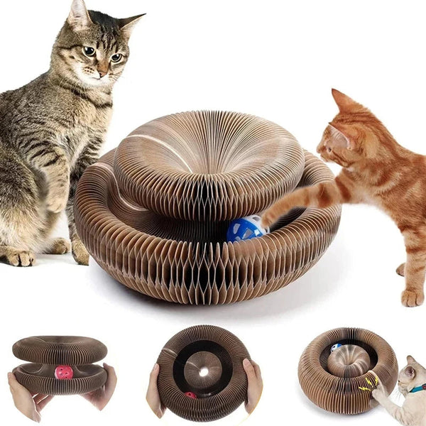 Magisches Kratzbrett für Katzen in Orgelform
