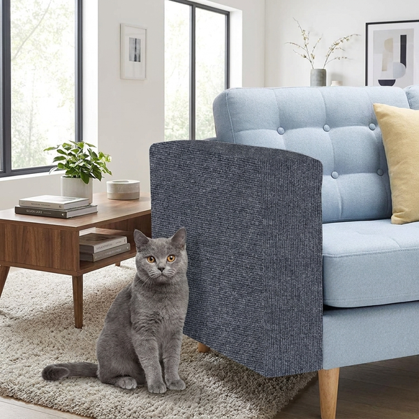 Ultimativer Kratzschutz für Sofas und Teppiche für Katzen