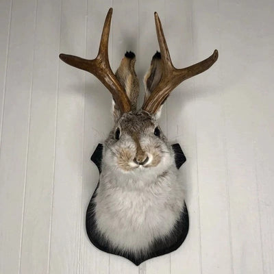 Dekorative Jackalope-Wandskulptur