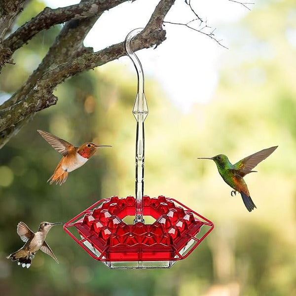 Ameisensicherer Kolibri-Futterspender zum Aufhängen für den Außenbereich mit Sitzstange