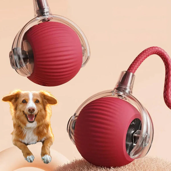 Interaktiver rollender Ball mit Schwanz für Hunde