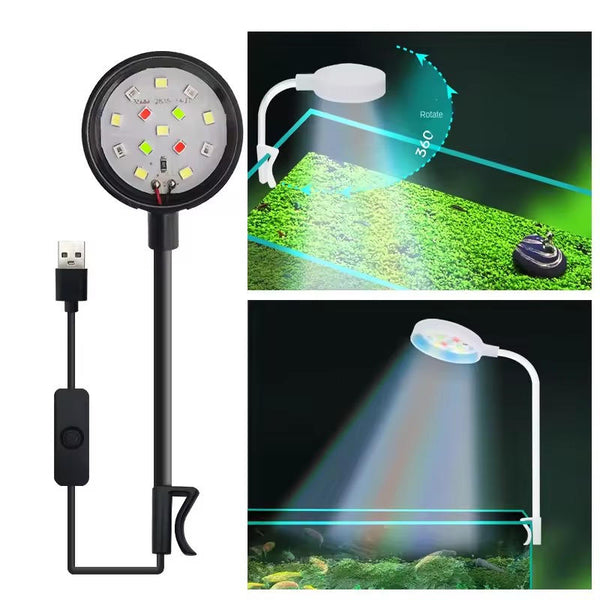 LED-Beleuchtung für Aquarien