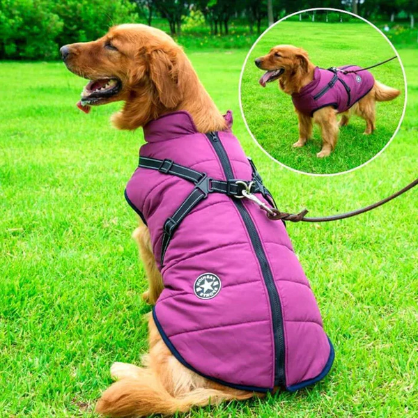 Wasserdichte Winterjacke für Hunde - Mit Sherpa-Fleece gefüttert und integriertem Geschirr